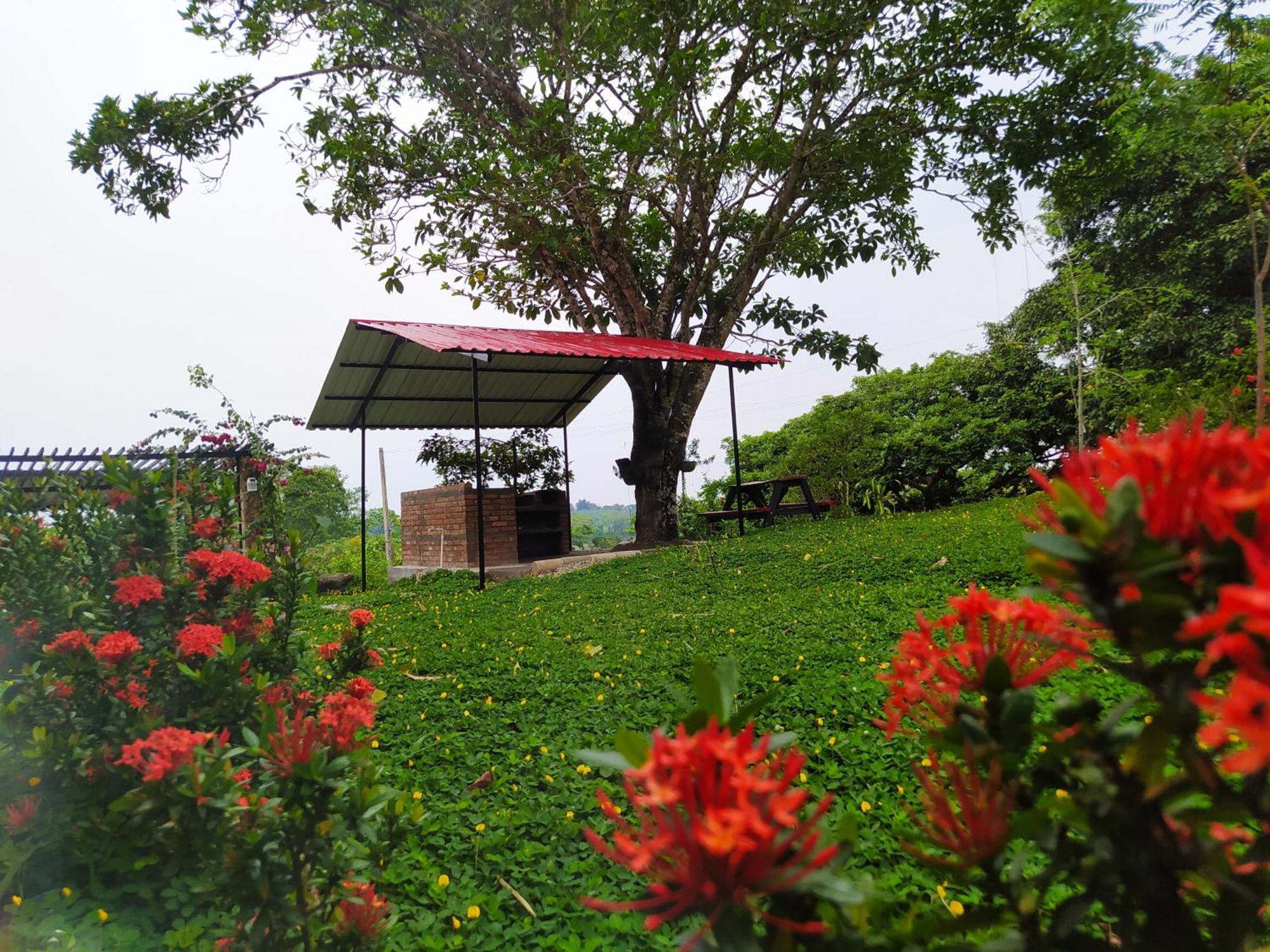 Alojamiento Rural Entre El Llano Y La Selva San Jose del Guaviare Ngoại thất bức ảnh